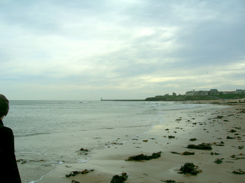 Photograph: Tynemouth headland in the distance, beyond a seaweed covered beach