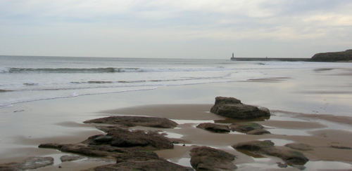 Photograph: The wet sand of Tynemouth beach, and the North Sea