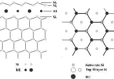 Schematic diagram of the 2D silicides. A single RE layer sits beneath a reverse buckled bulk like Si bilayer